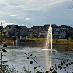 Meet your Posher, Tj